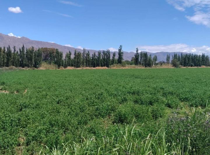 Terreno · 100000m²