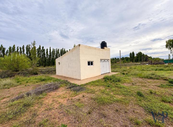 Terreno