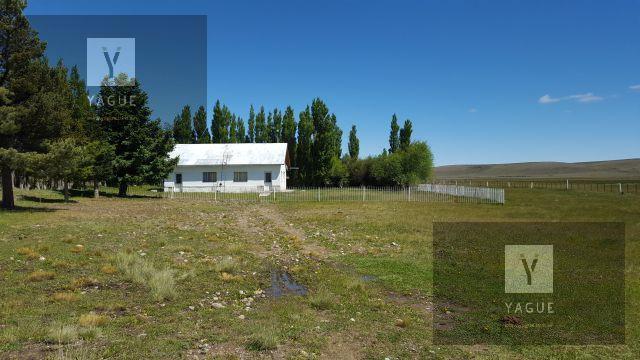 Campo · 39100ha