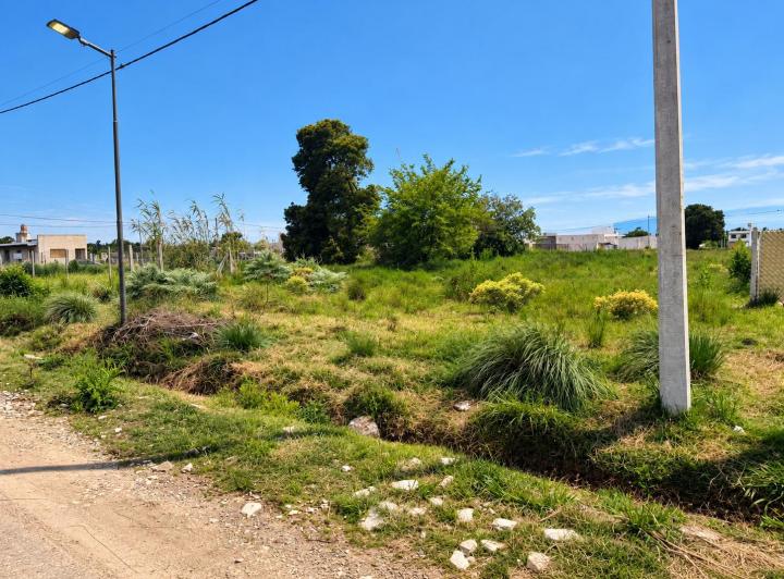 Terreno · 374m²