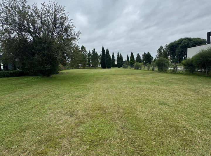 Terreno · 1500m²