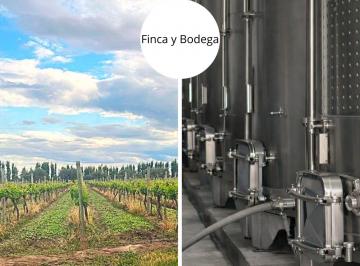 Campo · 1177ha · Venta Finca y Bodega. Junin. 100% Tecnificada.