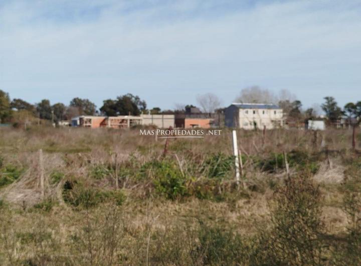 Terreno · 10429m²