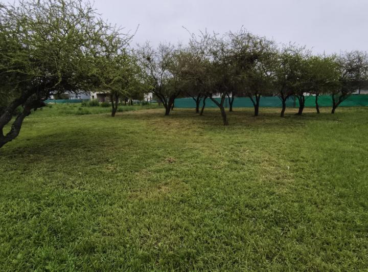 Terreno