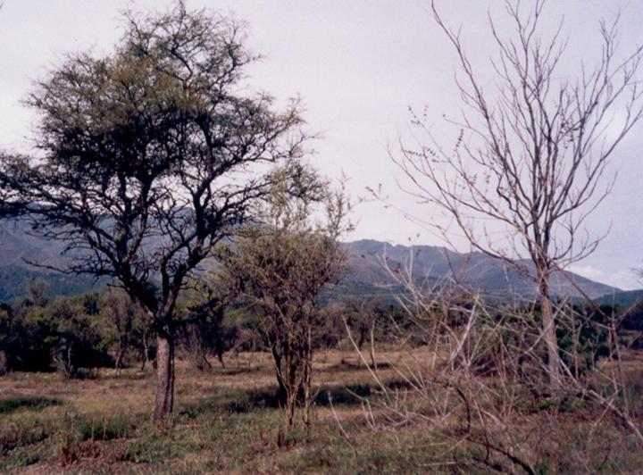 Terreno · 2550m²