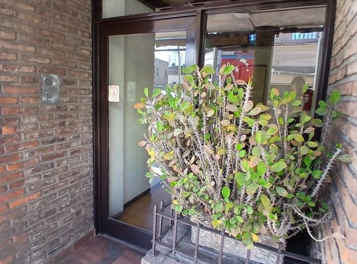 Departamento · 57m² · 3 Ambientes
