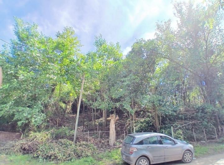 Terreno · 1037m²