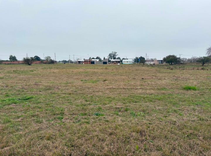 Terreno · 9961m²