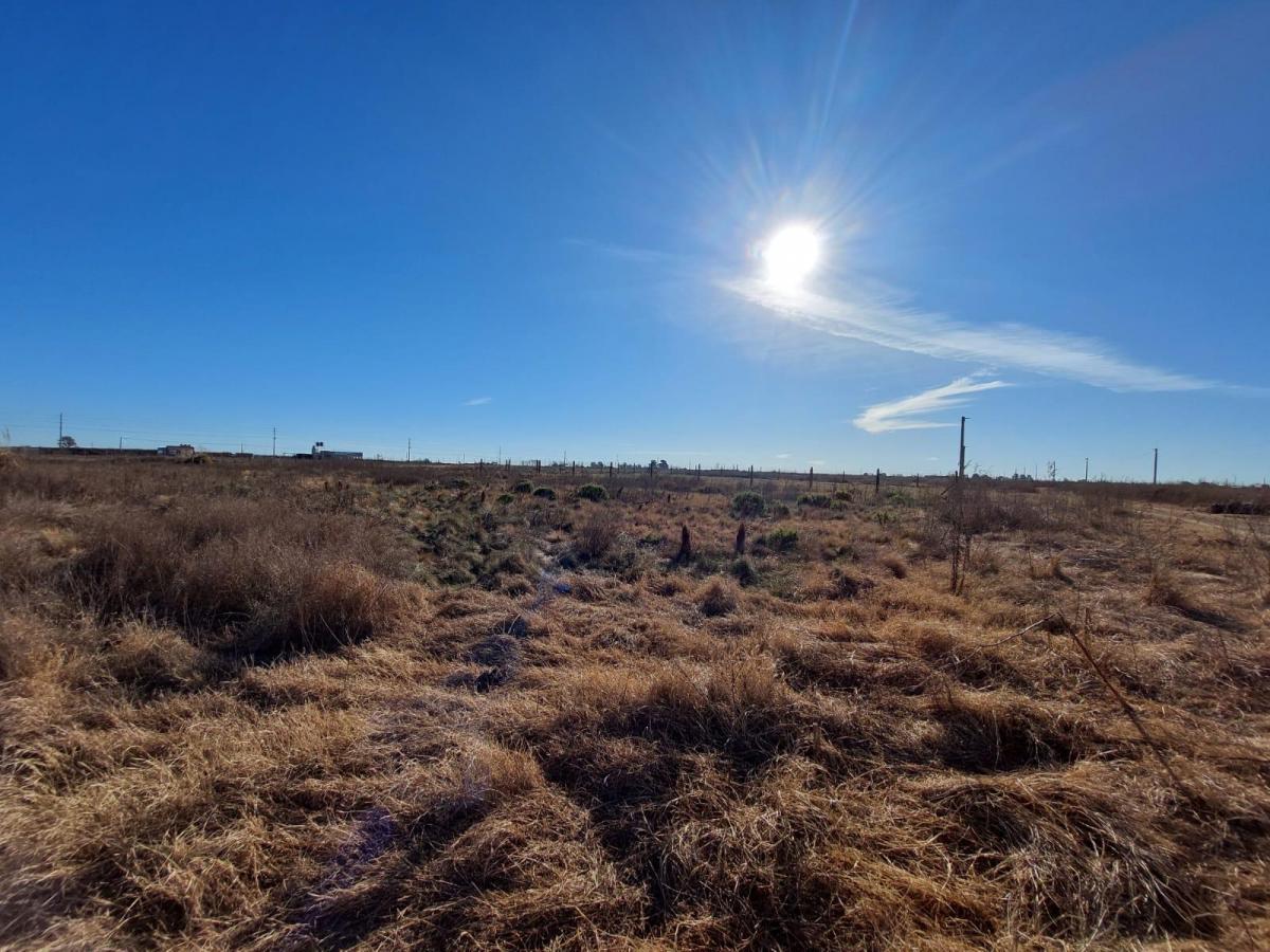 Terreno en venta de 2000mt2 en Trenque Lauquen, barrio Tierr