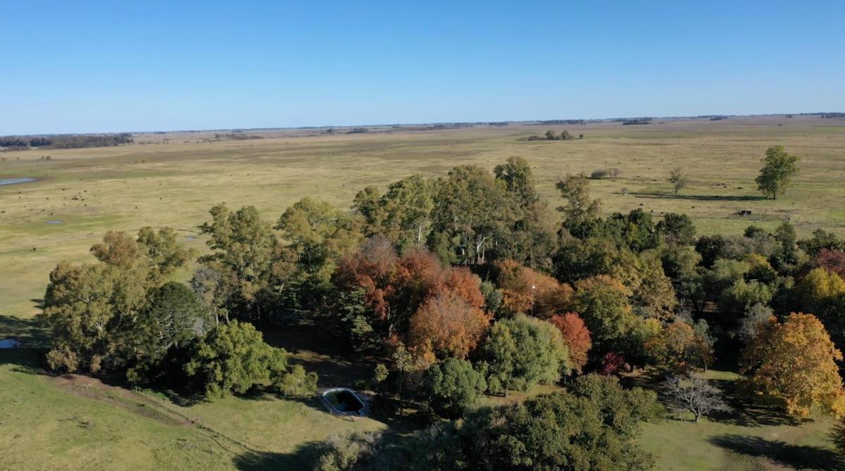 Unico campo de 110 hectareas rodeado de añeja arboleda A sol
