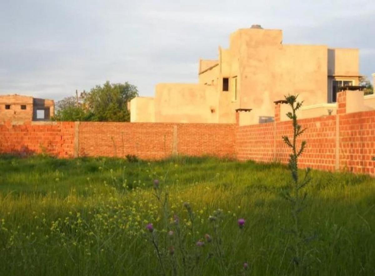 _ Terreno en venta ubicado sobre Avenida Lisandro de la Torre entre Br...