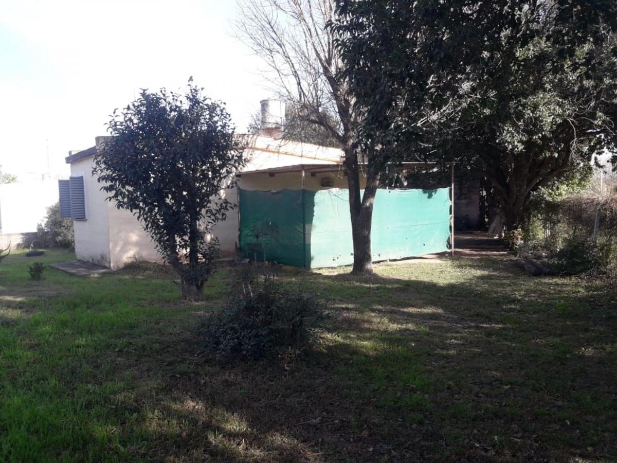 San Lorenzo 300