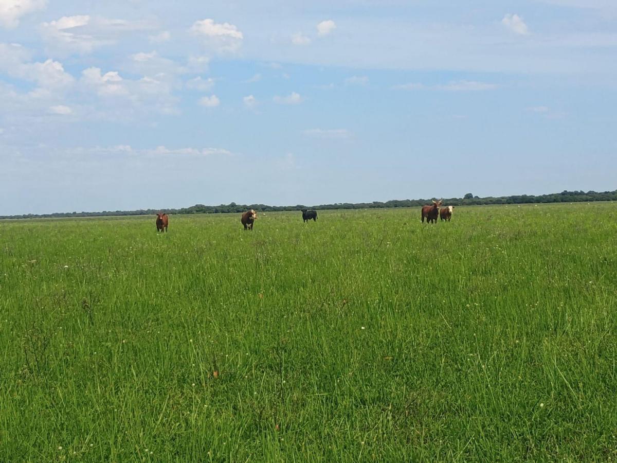 Camino Rural S/N, San Javier, Santa Fe