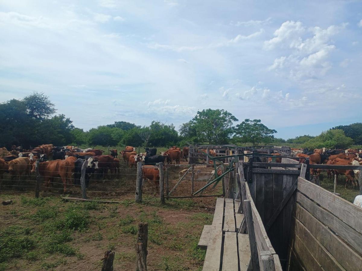 Camino Rural S/N,  San Javier, Santa Fe