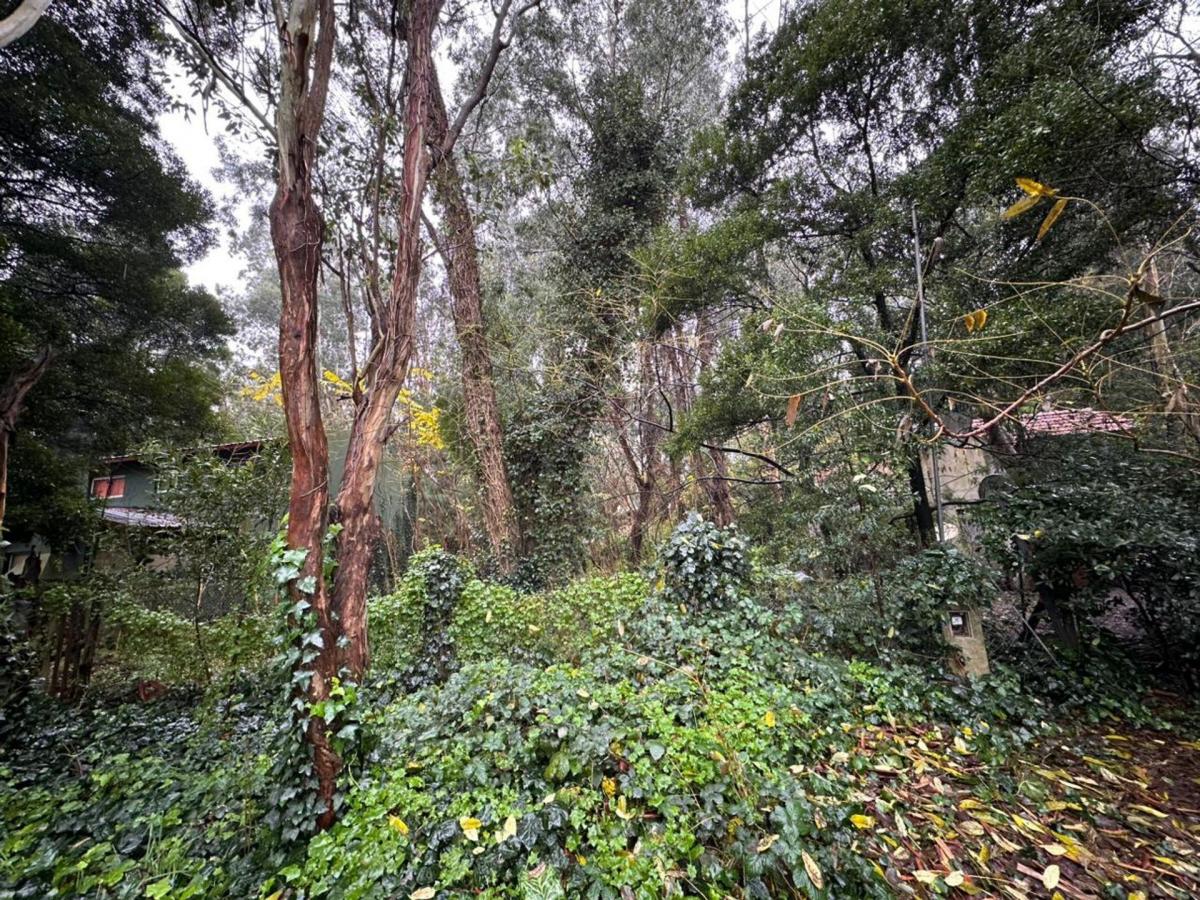 Boulevard Nuevo Bosque 300, Bosque Peralta Ramos, Mar del Plata